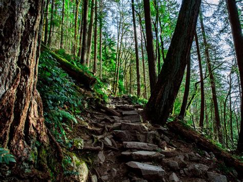 12 essential day hikes near Seattle Curbed Seattle