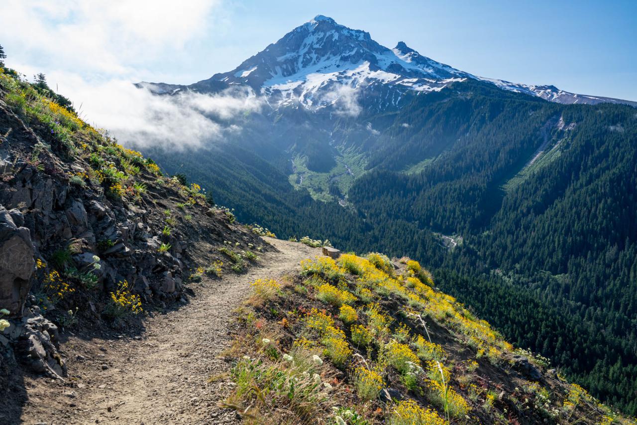 Discover Your Perfect Trail: A Guide to Finding the Best Hikes Near You